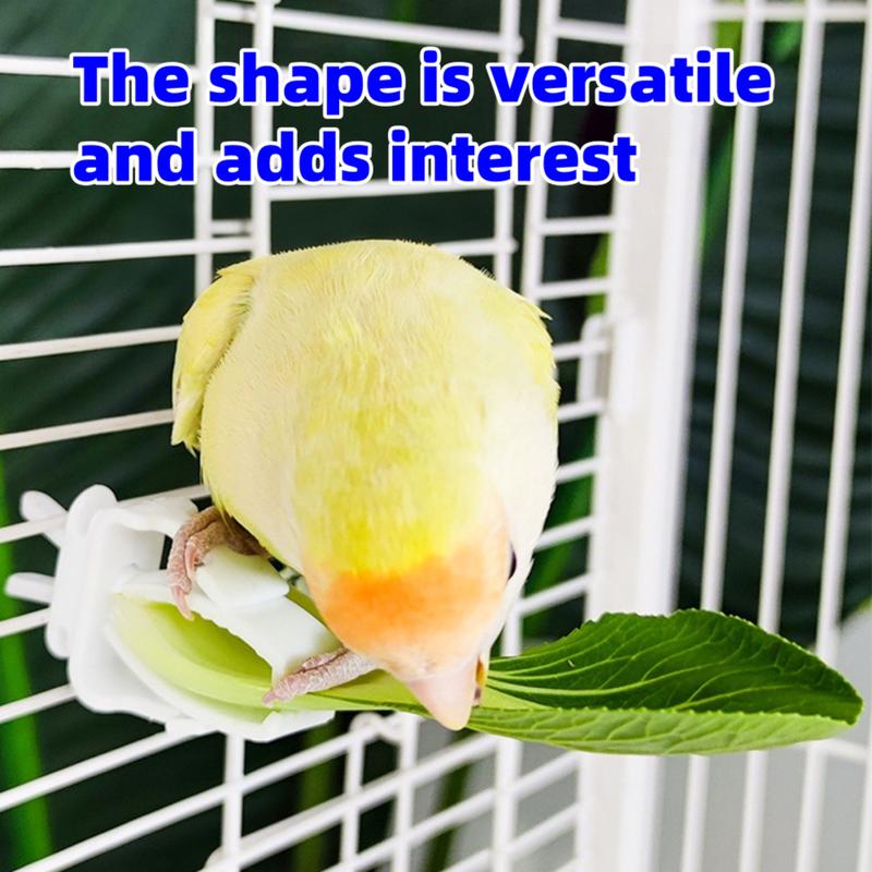 Multifunctional Parrot Snack Clip, Bird Cage Feeder, Anti-Drop & Waste Prevention, Suitable for Lovebirds & Cockatoos