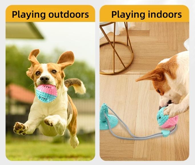 Pet Interactive Toy Set, Durable Chew Toys for Dogs, Elastic Ring & Suction Cup Rope, Fun Outdoor Activity Accessories