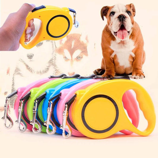 Automatic Retractable Pet Leash, 1 Count Pet Traction Rope, Dog & Cat Accessories, Pet Supplies for Outdoor Walking, Dog & Cat Accessories