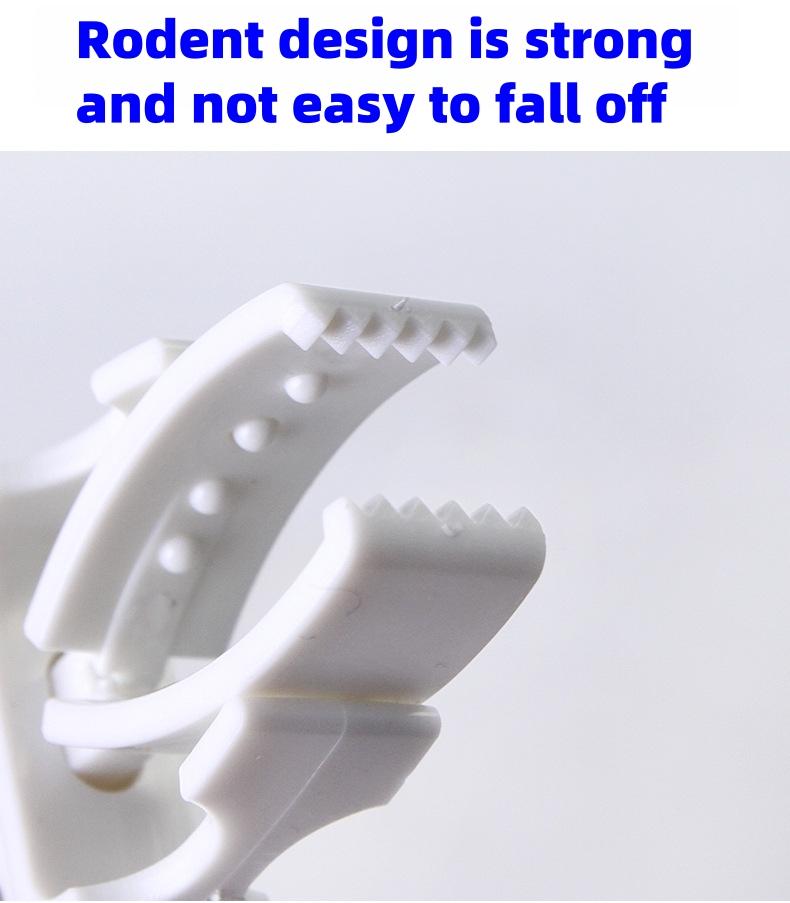 Multifunctional Parrot Snack Clip, Bird Cage Feeder, Anti-Drop & Waste Prevention, Suitable for Lovebirds & Cockatoos