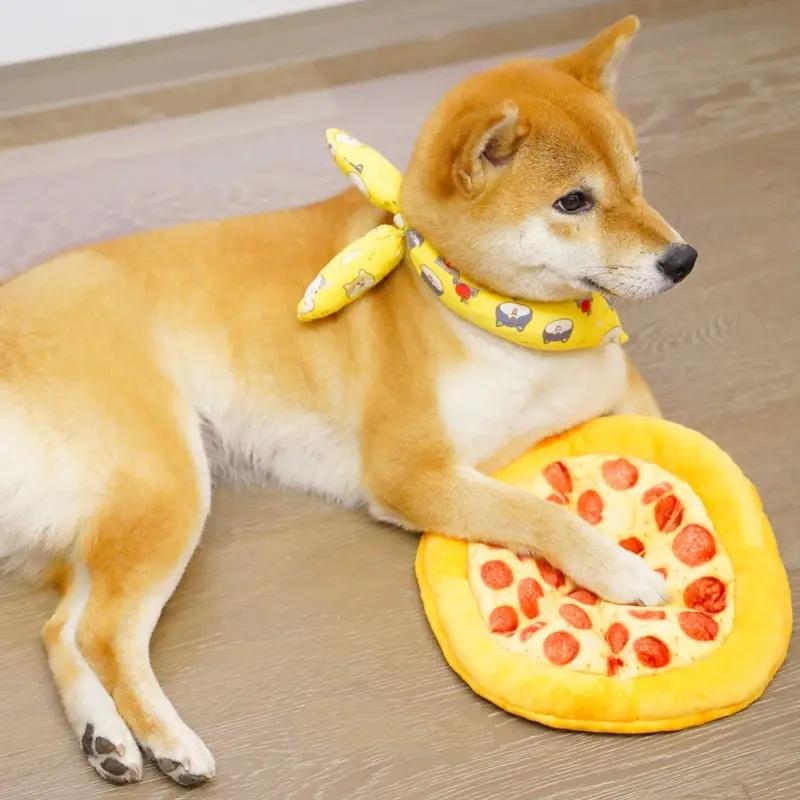 Pizza Design Pet Interactive Toy, Bite Resistant Chew Toys for Dogs, Dog Toys, Pet Indoor & Outdoor Playing Supplies
