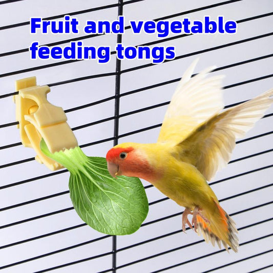 Multifunctional Parrot Snack Clip, Bird Cage Feeder, Anti-Drop & Waste Prevention, Suitable for Lovebirds & Cockatoos