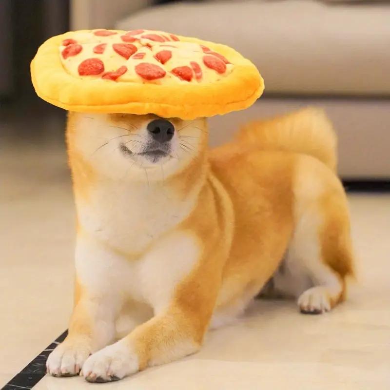 Pizza Design Pet Interactive Toy, Bite Resistant Chew Toys for Dogs, Dog Toys, Pet Indoor & Outdoor Playing Supplies